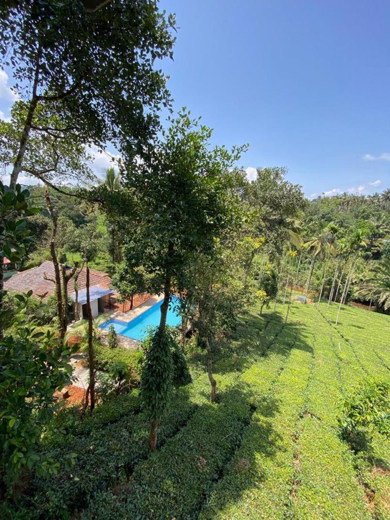 Letstay Vythiri Hill Palace Exteriér fotografie