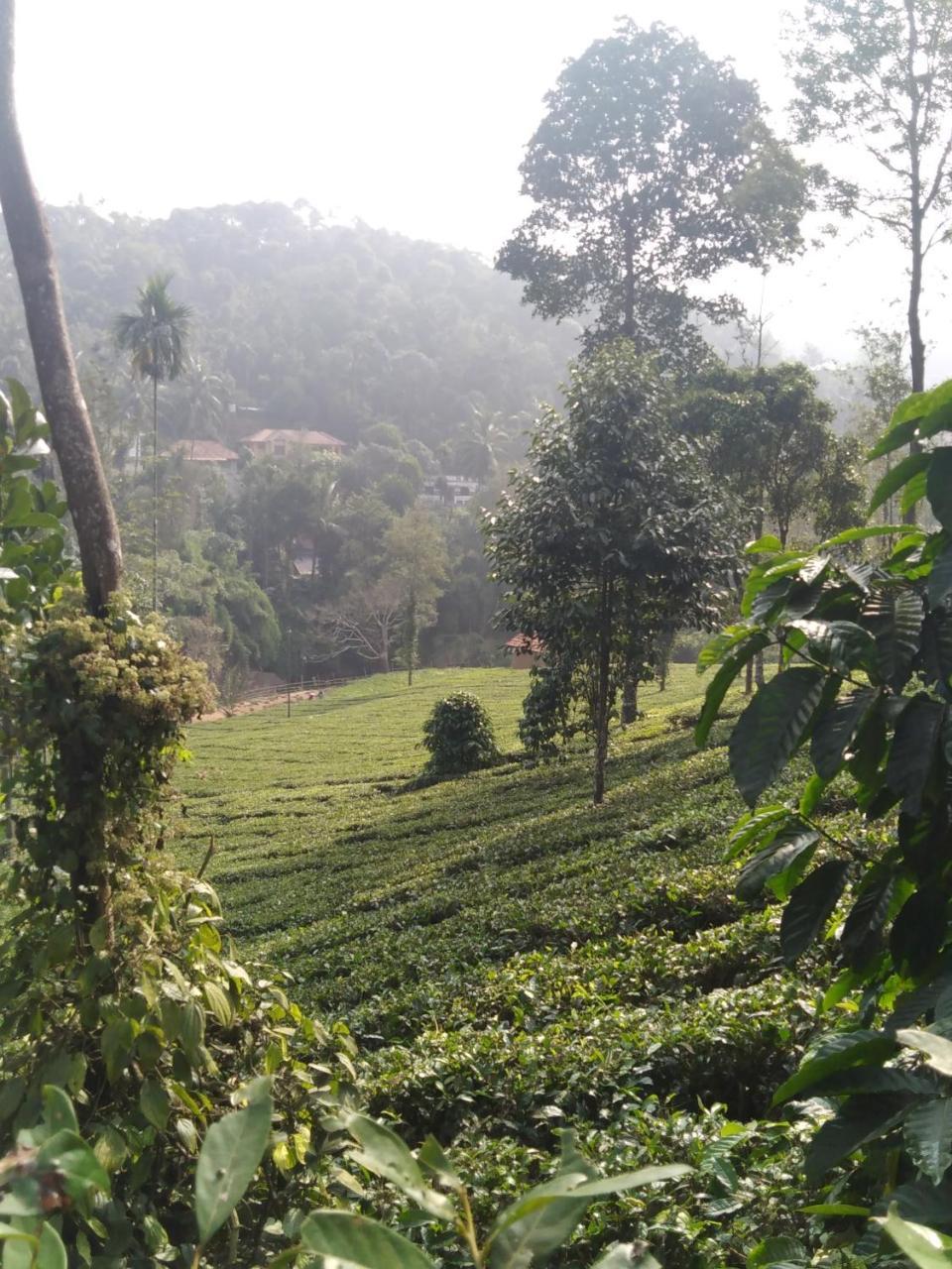 Letstay Vythiri Hill Palace Exteriér fotografie
